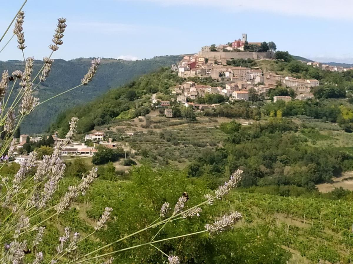 Apartment Parenzana, Little Row House With Big Green Yard In Central Istria Rakotule Εξωτερικό φωτογραφία