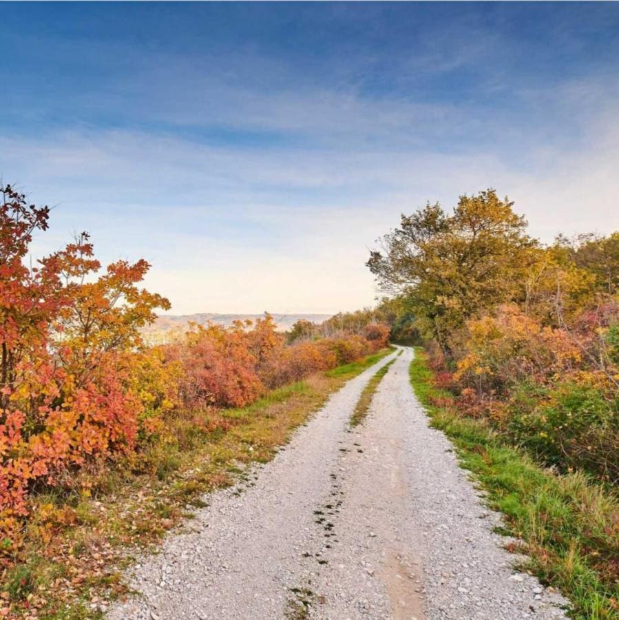 Apartment Parenzana, Little Row House With Big Green Yard In Central Istria Rakotule Εξωτερικό φωτογραφία