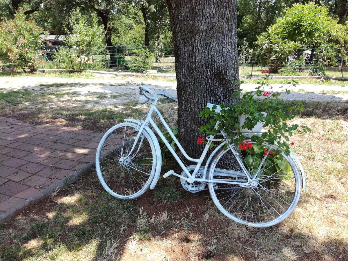 Apartment Parenzana, Little Row House With Big Green Yard In Central Istria Rakotule Εξωτερικό φωτογραφία